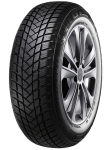 GT-Radial WinterPro2