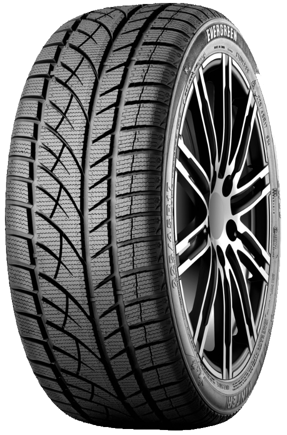 evergreen Winter EW66