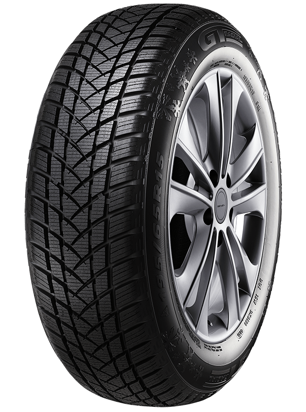 GT Radial WinterPro2