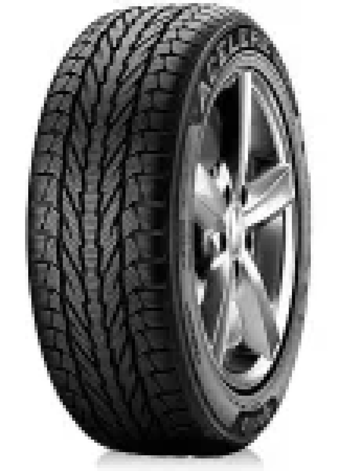 Optimo Winter GT