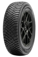 Falken Winterpeak F Ice 1 - Official Image