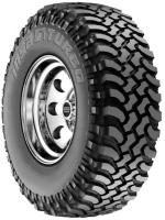 Insa Turbo DAKAR - Official Image