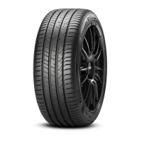  Pirelli CINTURATO P7 all_ Season Radial Tire-205 55R16 91V :  Automotive