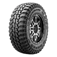Radar Renegade R 5 MT - Official Image